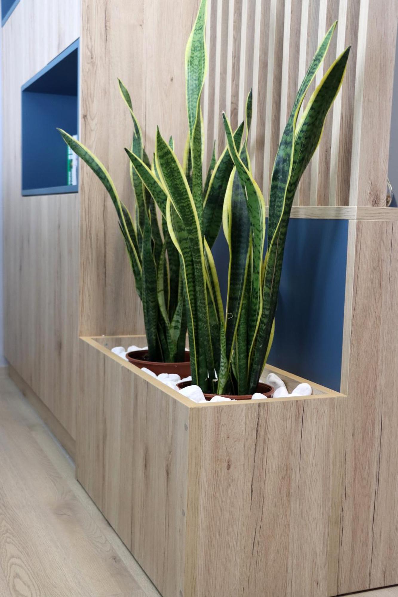 Blue Superior Modern Studio Μυτιλήνη Εξωτερικό φωτογραφία